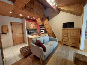 Duplex Montagne avec Sauna, Wifi, Parking - FR-1-516-147 Les Deux Alpes